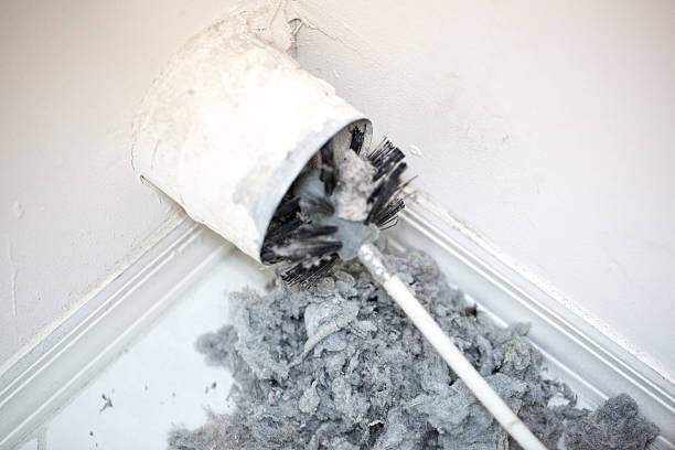 Best Home Air Vent Cleaning  in Sulphur Springs, TX